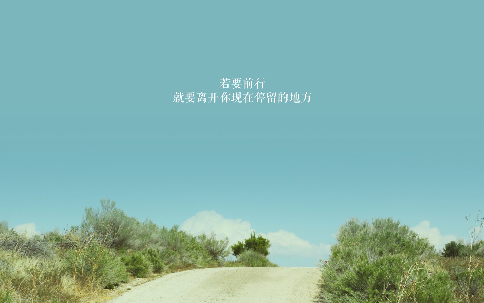 开云kaiyun-上海海港球员转会动态，上海海港最新球衣