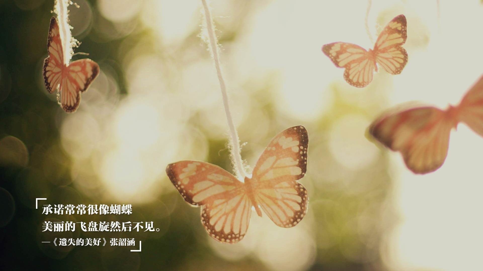 开云下载-全球女队足球团结一心向冠军进发，女子足球队排名