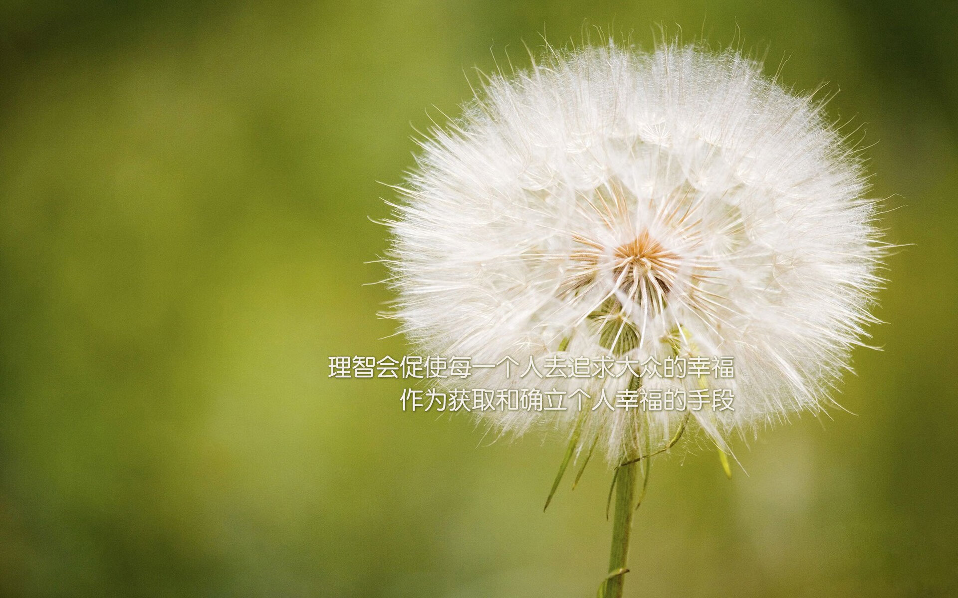 开云·体育官方网站入口-广州队士气高涨，毫不弱于对手实力，广州队是原来哪个队