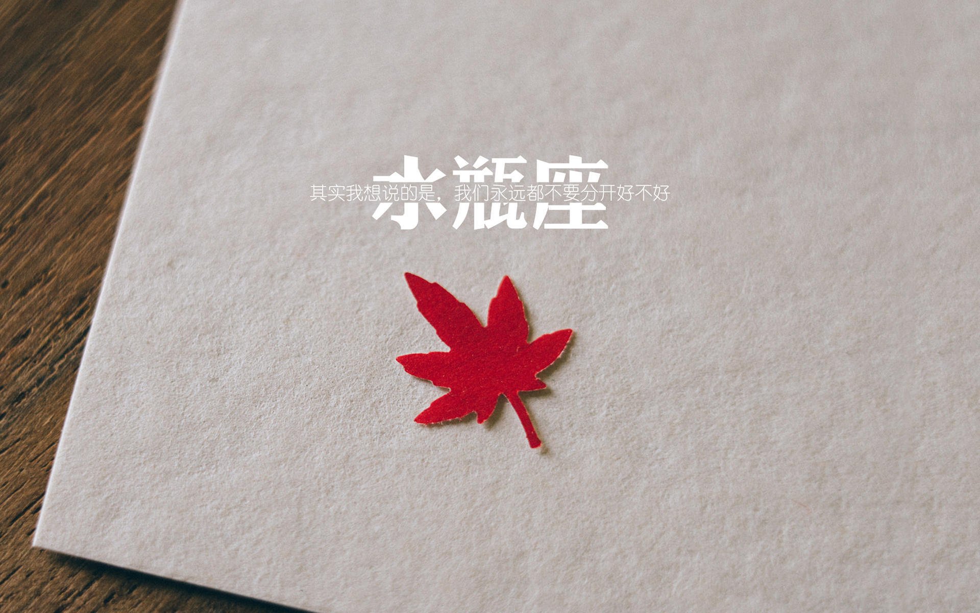 开云·体育官方网站入口-拜仁慕尼黑-击败本菲卡，晋级下一轮，拜仁慕尼黑本赛季主力阵容