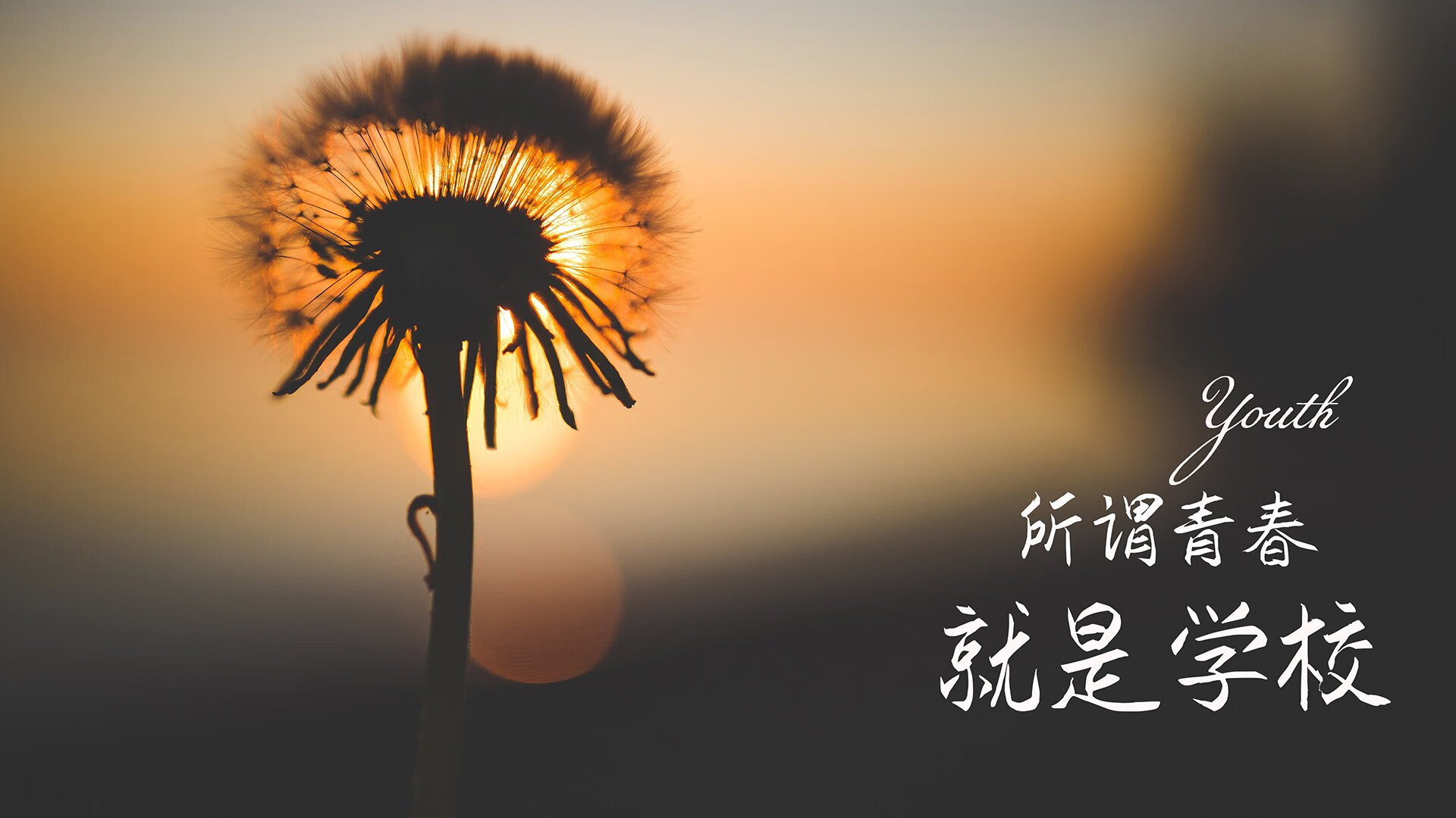 开云官方网页登录-自由式滑雪世界杯再迎中国首金，自由式滑雪世锦赛冠军