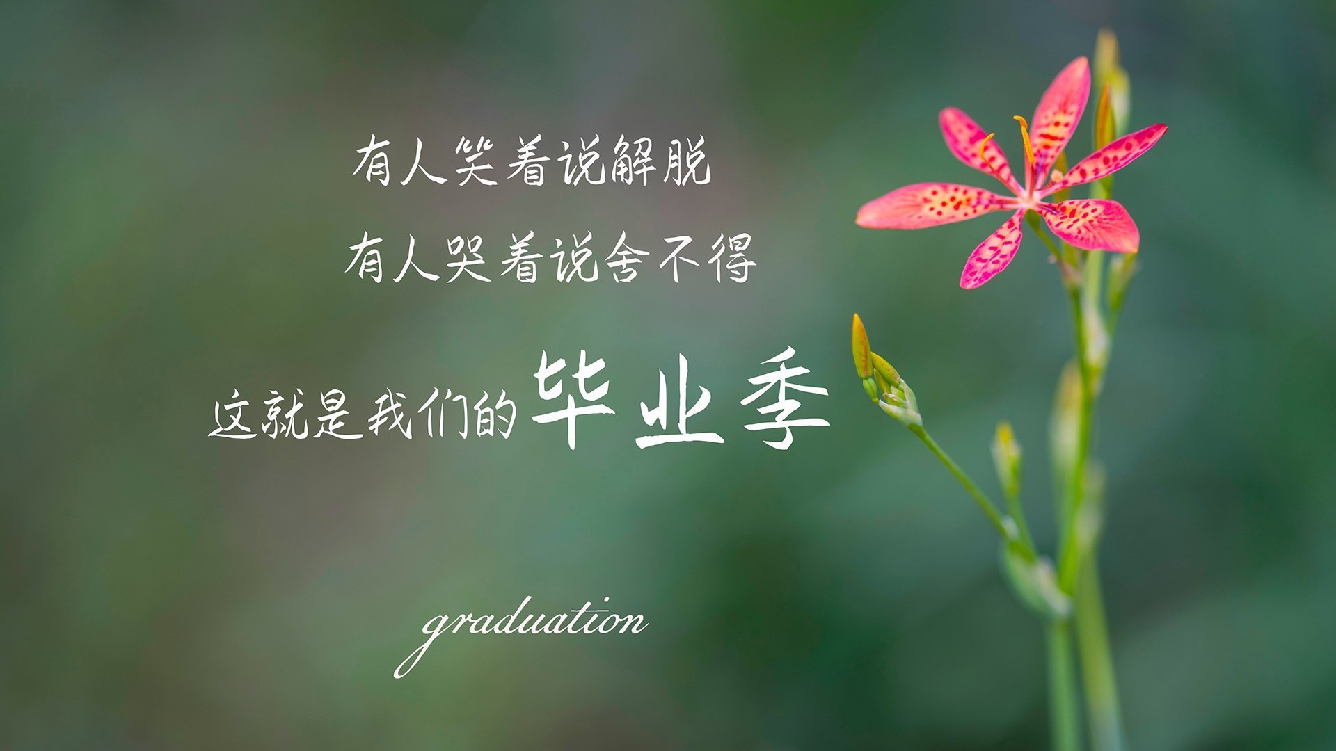 球队发布官方海报传递备战信号激发球迷期待情绪，球队宣传文案